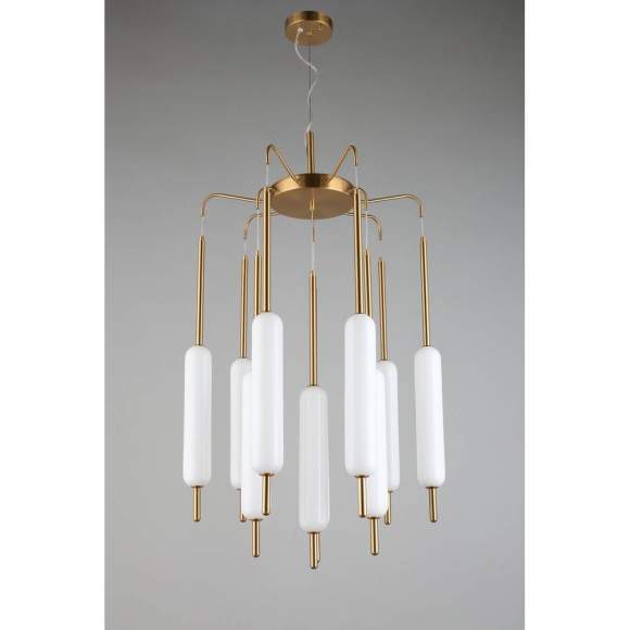 Подвесной светодиодный светильник Aployt Carla APL.010.03.80