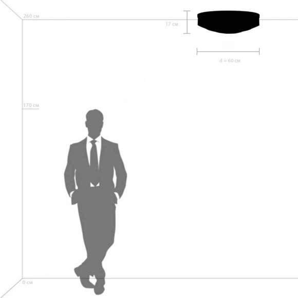 Потолочная люстра Lightstar Siena 720407 Потолочная люстра Lightstar Siena 720407