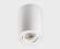 Потолочный светильник Italline M02-85115 white