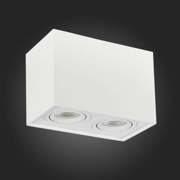 Накладной точечный поворотный светильник ST-Luce ST109.507.02 Накладной точечный поворотный светильник ST-Luce ST109.507.02