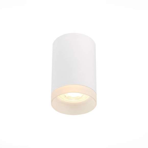 Накладной светодиодный светильник ST Luce ST100.502.01
