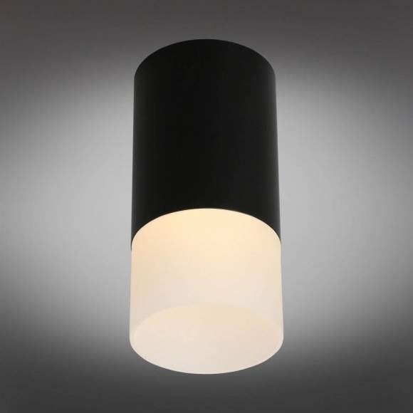 OML-100619-01 Точечный светильник Omnilux Lucido