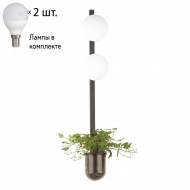 Бра с лампочками Odeon Light Flower 4681/2WA+Lamps E14 P45