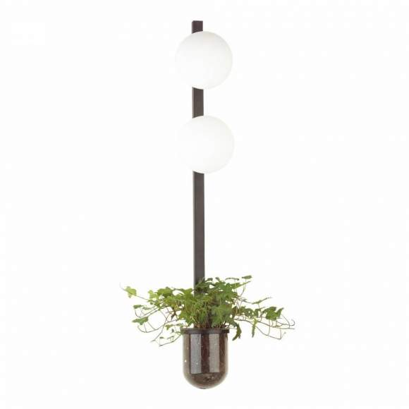 Бра с лампочками Odeon Light Flower 4681/2WA+Lamps E14 P45