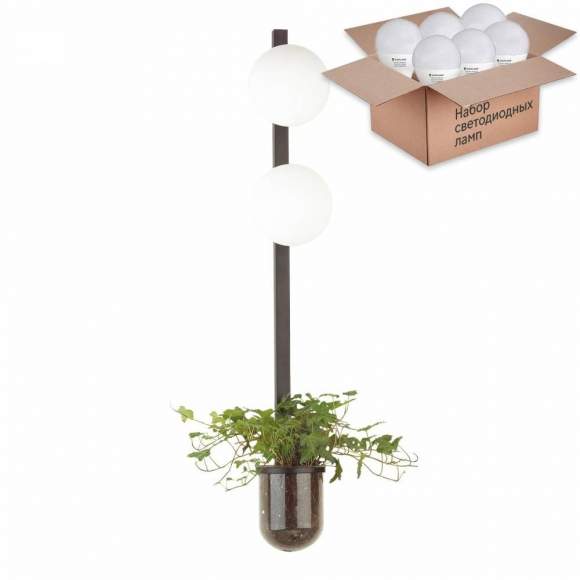 Бра с лампочками Odeon Light Flower 4681/2WA+Lamps E14 P45