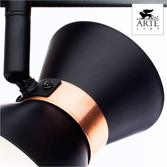 A1406AP-2BK Спот Arte Lamp BALTIMORE