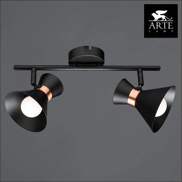 A1406AP-2BK Спот Arte Lamp BALTIMORE