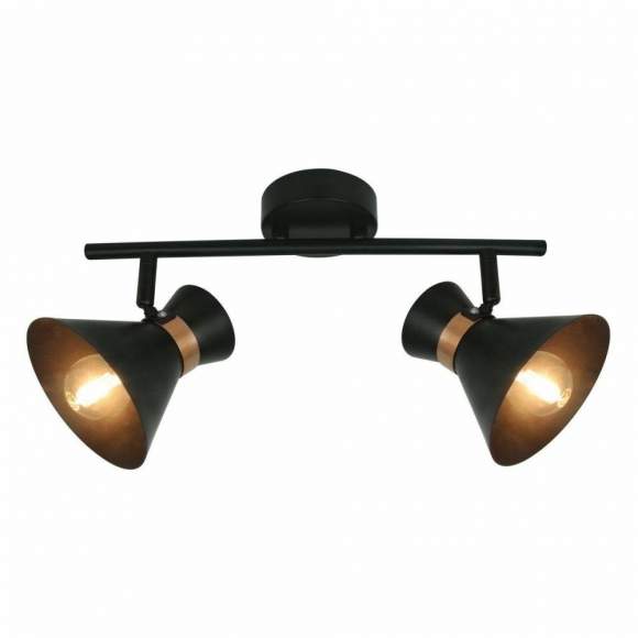 A1406AP-2BK Спот Arte Lamp BALTIMORE