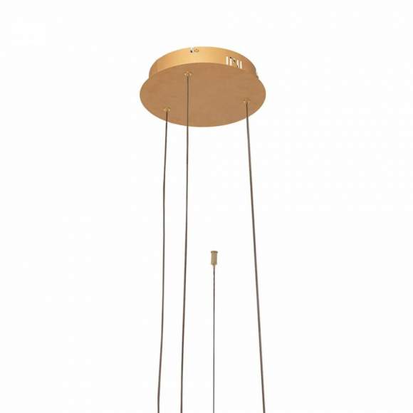 Светильник подвесной светодиодный Loft It Ring 10017/3S Светильник подвесной светодиодный Loft It Ring 10017/3S