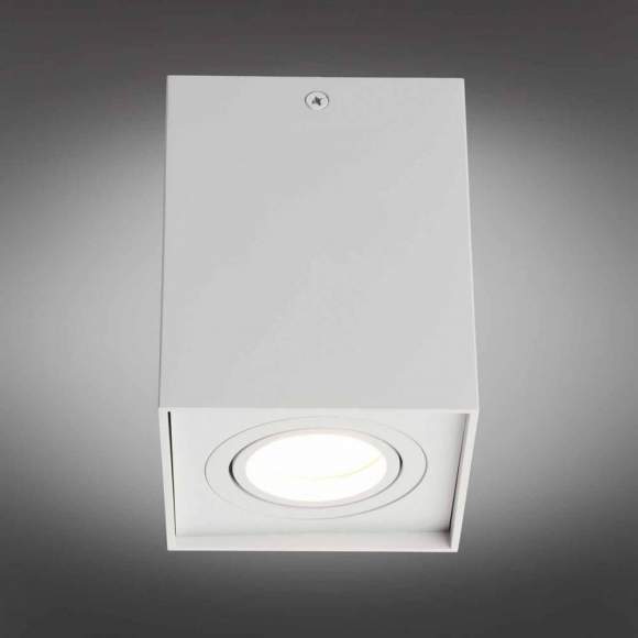 OML-101109-01 Точечный светильник Omnilux Feletto