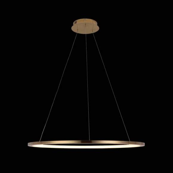 Светильник подвесной светодиодный LOFTIT Ring 10014L