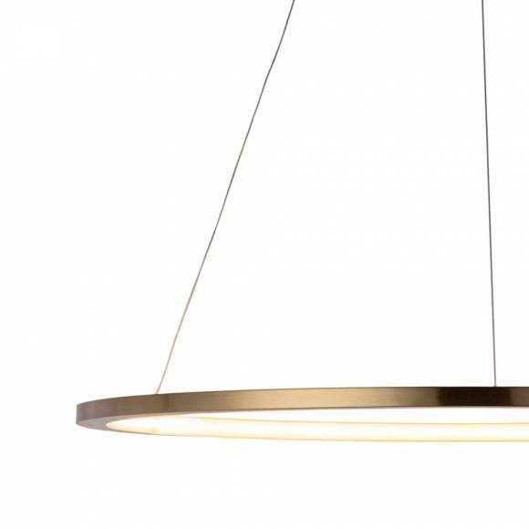 Светильник подвесной светодиодный LOFTIT Ring 10014L