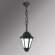 E26.120.000.AYF1R Уличный подвесной светильник Fumagalli Sichem/Rut