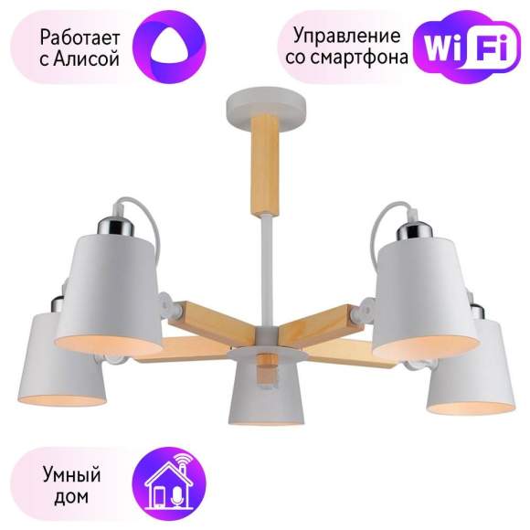 Потолочная люстра Arte Lamp с поддержкой Алиса A7141PL-5WH-A