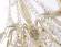 Подвесная люстра Ambrella light Traditional TR4945 Подвесная люстра Ambrella light Traditional TR4945