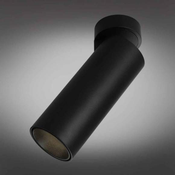 OML-101419-12 Точечный светильник Omnilux Montella