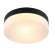 Светильник с лампочками Arte lamp Aqua-Tablet A6047PL-2BK+Lamps