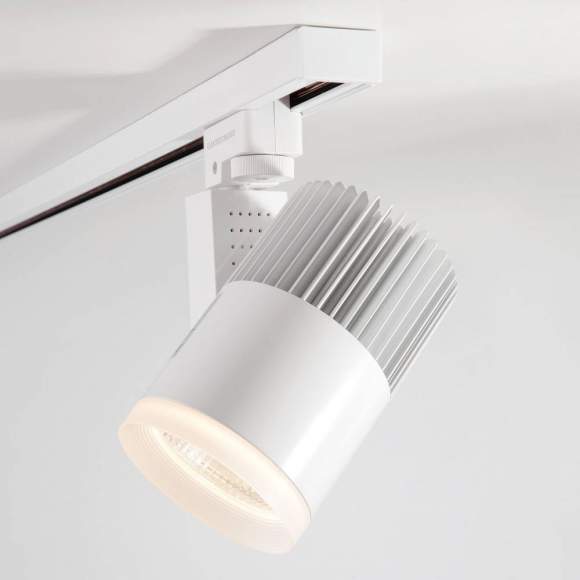 Однофазный LED светильник 30W 4200К для трека Accord Elektrostandard Accord Белый 30W 4200K (LTB20) однофазный (a039567)