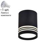 Накладной светильник с лампочкой Favourite Darar 3066-1C+Lamps Gu10