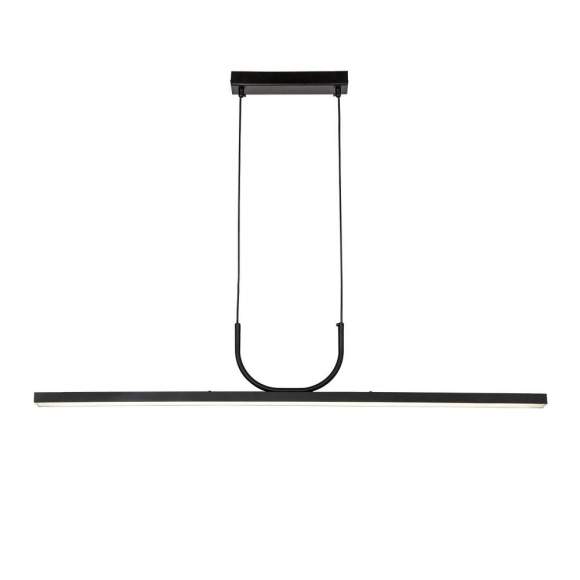 Подвесная люстра Raya Favourite 4096-2P