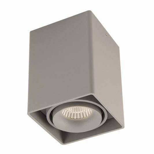Dl18611/01WW-SQ Silver Grey Накладной точечный светильник Donolux