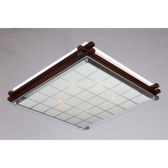 Настенно-потолочный светильник Omnilux Carvalhos OML-40507-05