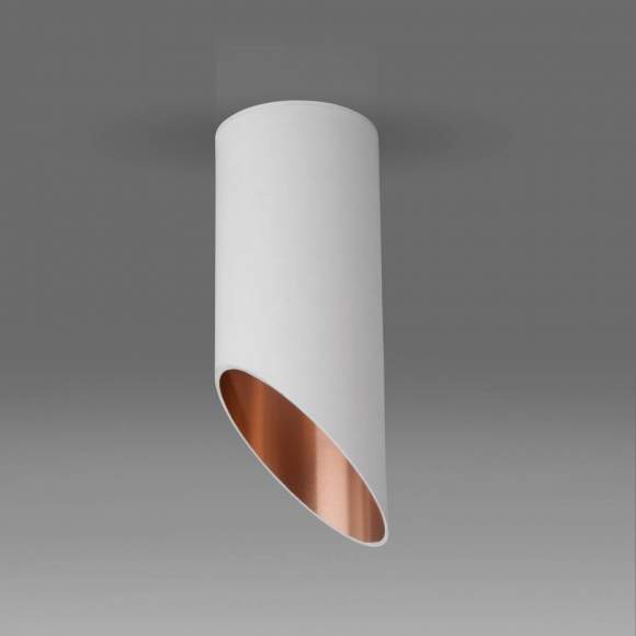 Накладной светильник Elektrostandard DLN114 GU10 белый/золото (a050119) Накладной светильник Elektrostandard DLN114 GU10 белый/золото (a050119)