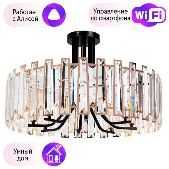 Потолочный светильник Arte Lamp Amber с поддержкой Алиса A1028PL-8BK-A