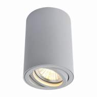 A1560PL-1GY Точечный накладной светильник Arte Lamp