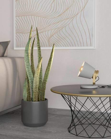 Настольная лампа Eglo Twicken 43841 Настольная лампа Eglo Twicken 43841