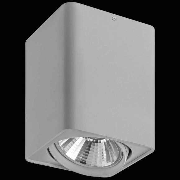 212639 Светильник точечный накладной под заменяемые галогенные или LED лампы Lightstar Monocco