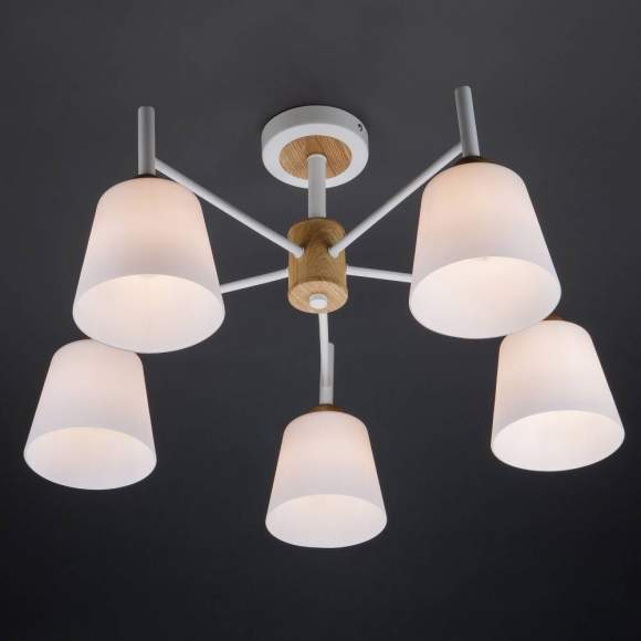 70085/5 белый Потолочная люстра ЕВРОСВЕТ Fresco