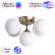 Потолочная люстра Arte lamp Fobos с поддержкой Маруся A2704PL-5SG-М