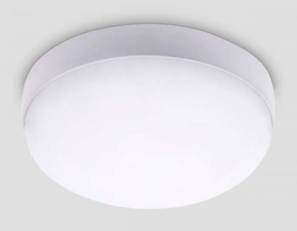 Накладной влагозащищенный светильник Ambrella light Street ST8631