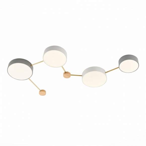 Потолочный светодиодный светильникEvoluce Dossena SLE600102-04