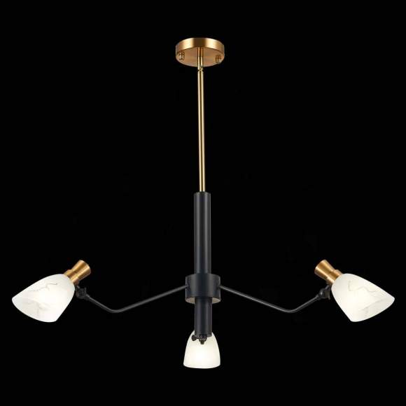 Люстра на штанге Evoluce Lita SLE205403-03