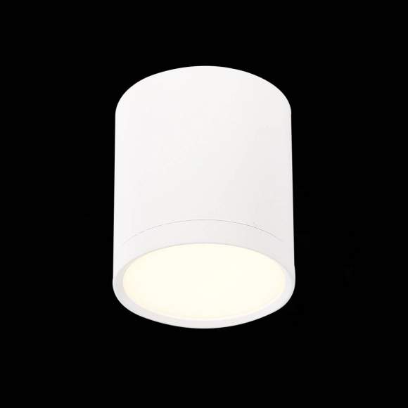 Светильник потолочный ST-Luce ST113.532.05 Светильник потолочный ST-Luce ST113.532.05