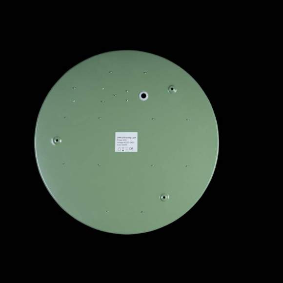 Потолочный светодиодный светильник Axel Loft It 10002/24 Green