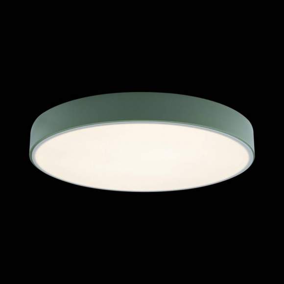 Потолочный светодиодный светильник Axel Loft It 10002/24 Green