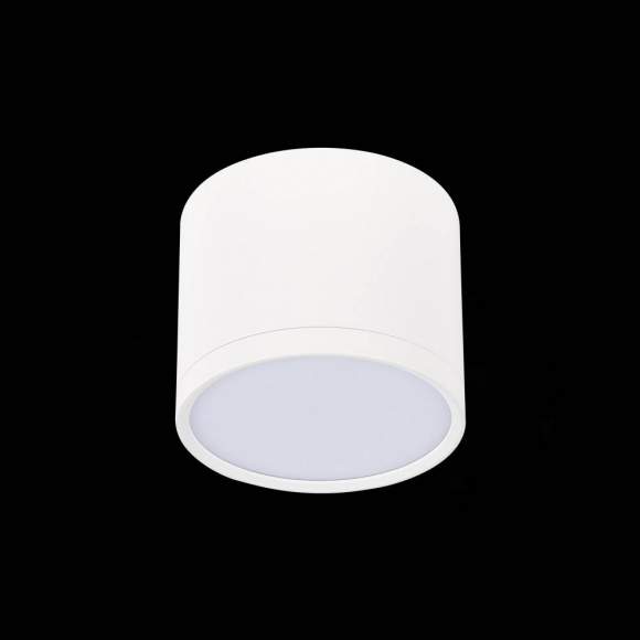 Светильник потолочный ST-Luce ST113.532.09 Светильник потолочный ST-Luce ST113.532.09