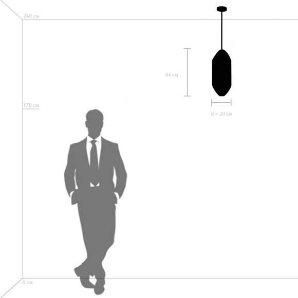 Подвесной светильник Lightstar Siena 720082 Подвесной светильник Lightstar Siena 720082