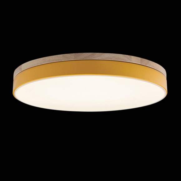 Потолочный светодиодный светильник Axel Loft It 10001/36 Yellow