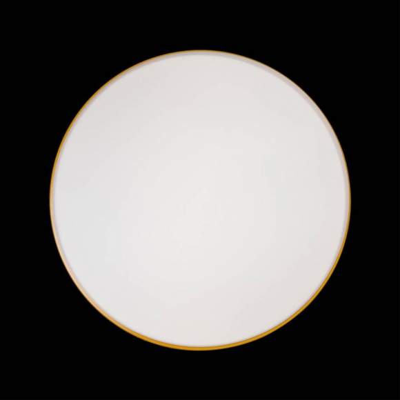 Потолочный светодиодный светильник Axel Loft It 10001/36 Yellow