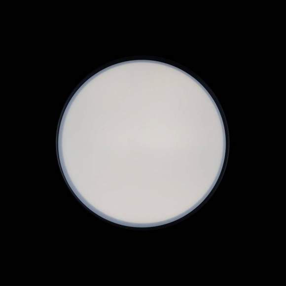 Потолочный светодиодный светильник Axel Loft It 10002/12 Black Потолочный светодиодный светильник Axel Loft It 10002/12 Black