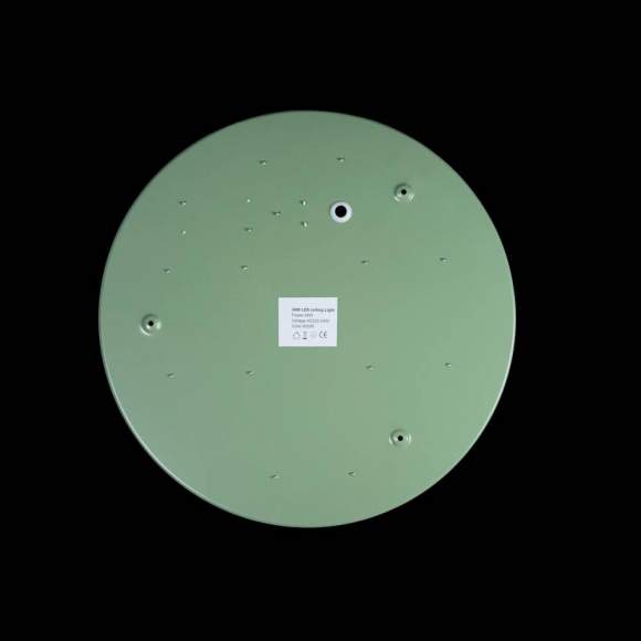 Потолочный светодиодный светильник Axel Loft It 10003/24 Green