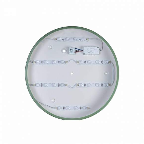 Потолочный светодиодный светильник Axel Loft It 10003/24 Green