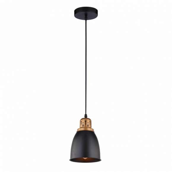 Светильник с лампочкой Arte Lamp Eurica A4248SP-1BK+Lamps