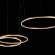 Светильник подвесной светодиодный Loft It Ring 10017/3L