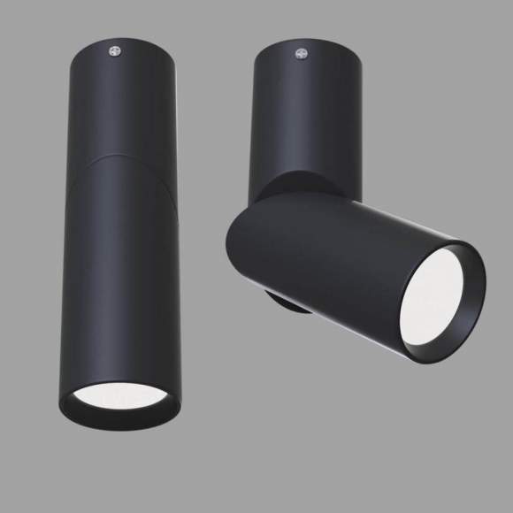 C027CL-L10B Накладной потолочный светильник Maytoni Dafne C027CL-L10B Накладной потолочный светильник Maytoni Dafne