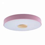 Потолочный светодиодный светильник Axel Loft It 10003/24 Pink
